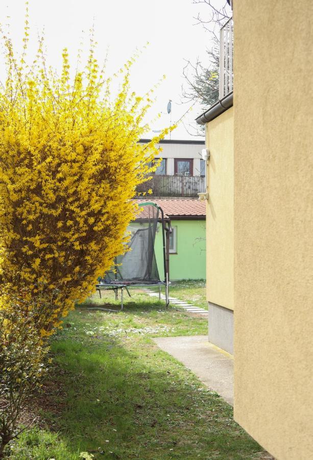Small-Comfy Guest House In Donaustadt Garden - Not Shared! 비엔나 외부 사진